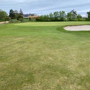 Meet your Posher, Hayden